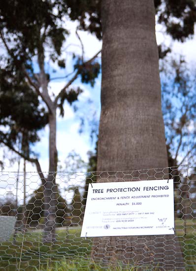 Tree Protection Zone image from the guide.